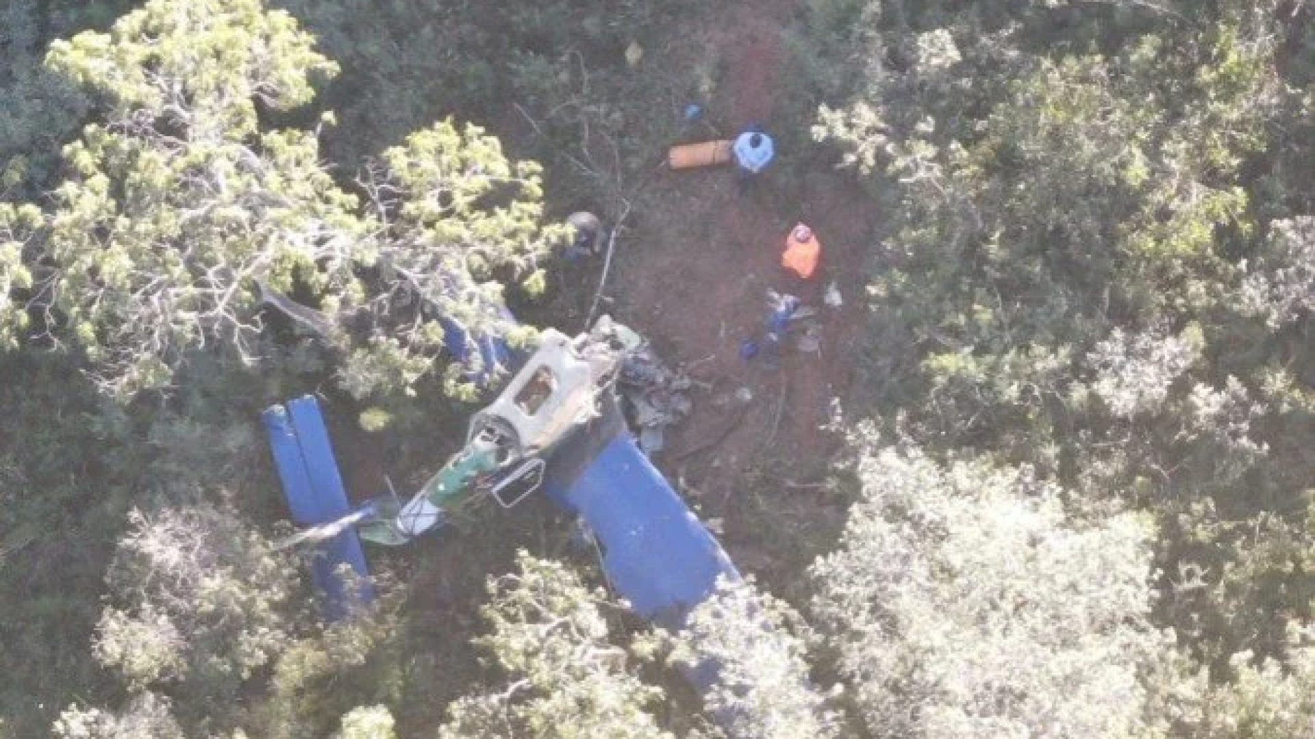 Aeronave que pulverizava canavial caiu em mata às margens da BR-365, em João Pinheiro (MG), no Noroeste do estado -  (crédito: Divulgação/ CBMMG)