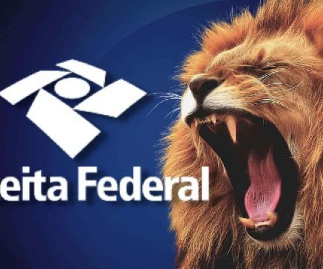 Ganhos de pessoas físicas devem ser informados mensalmente pelo carnê-leão -  (crédito: Divulgação / Receita Federal )