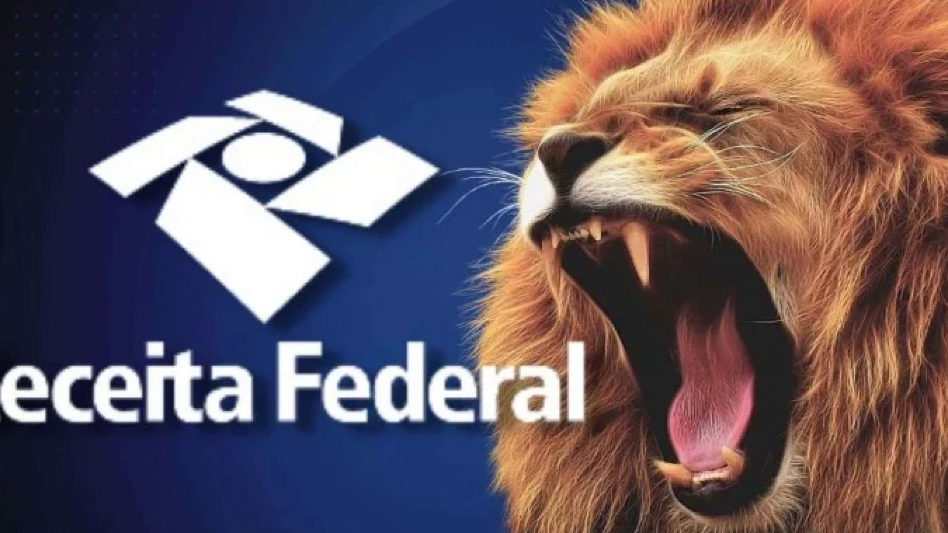 Ganhos de pessoas físicas devem ser informados mensalmente pelo carnê-leão -  (crédito: Divulgação / Receita Federal )