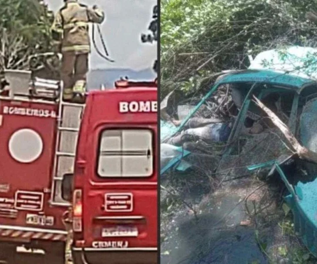 Aeronave era ocupada somente pelas três vítimas e caiu em uma área de mata -  (crédito: Rádio Tupi)
