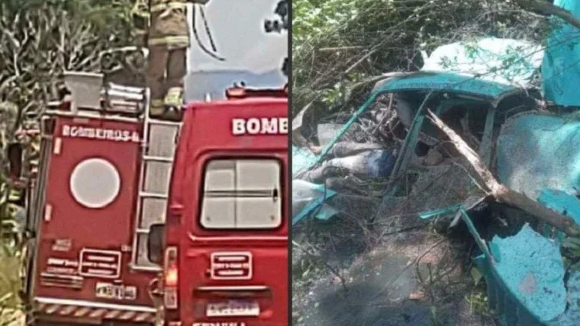 Aeronave era ocupada somente pelas três vítimas e caiu em uma área de mata -  (crédito: Rádio Tupi)