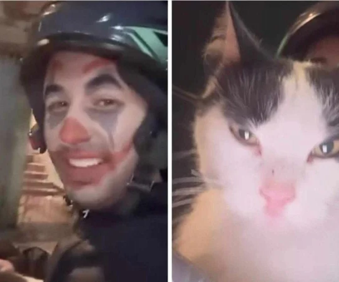 Motoboy fez negócio e levou gato como parte do pagamento -  (crédito: Reprodução / Instagram)