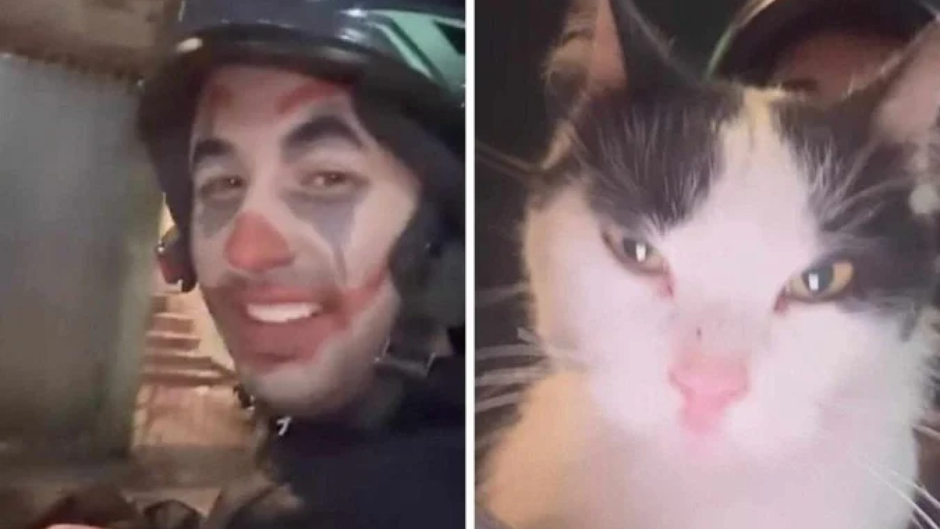 Motoboy fez negócio e levou gato como parte do pagamento -  (crédito: Reprodução / Instagram)