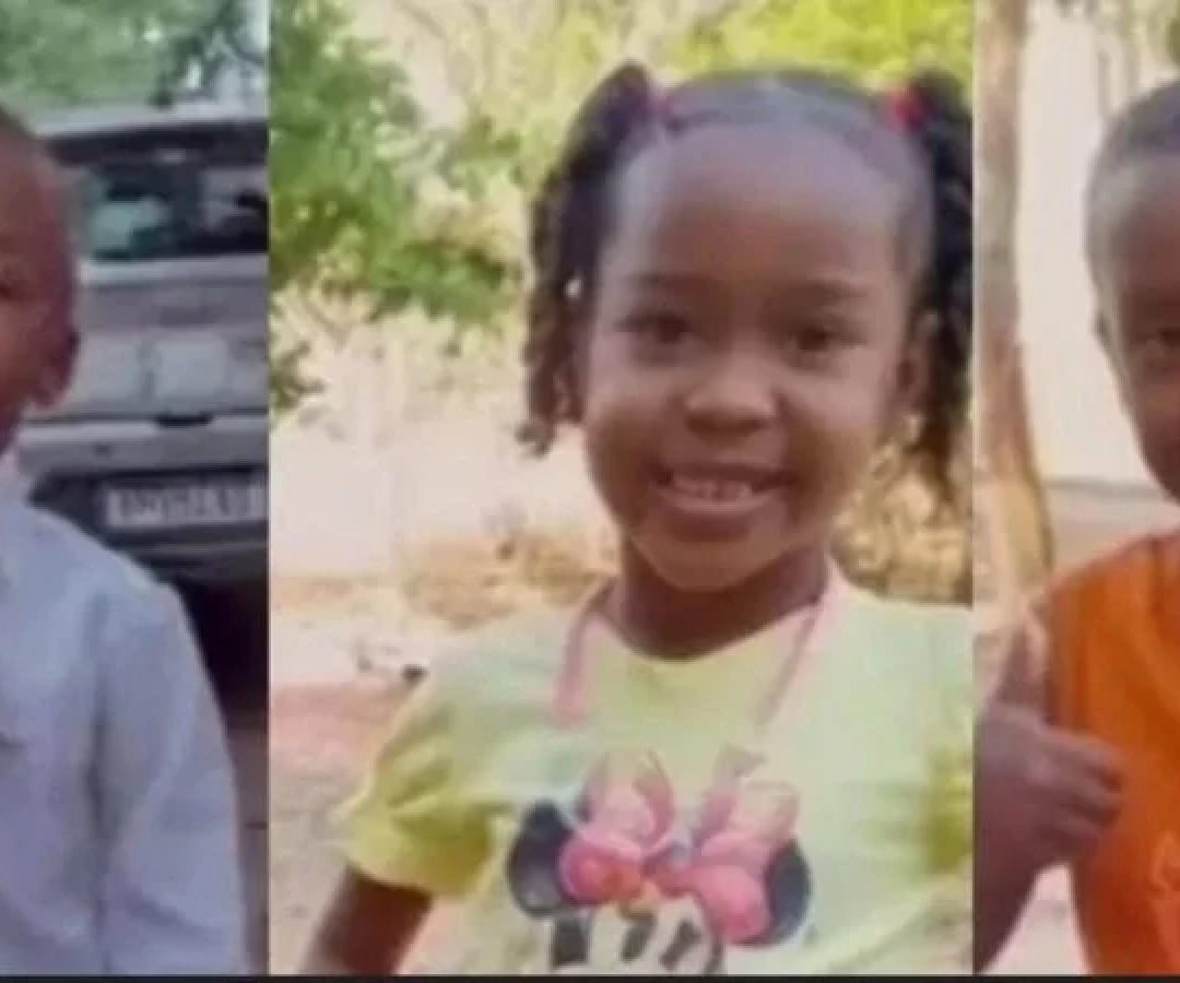Os irmãos Ágata, de 6 anos, e Allan, 4, saíram para brincar no último domingo em uma área de mata densa, e seguem desaparecidos -  (crédito: Reprodução/Redes sociais)