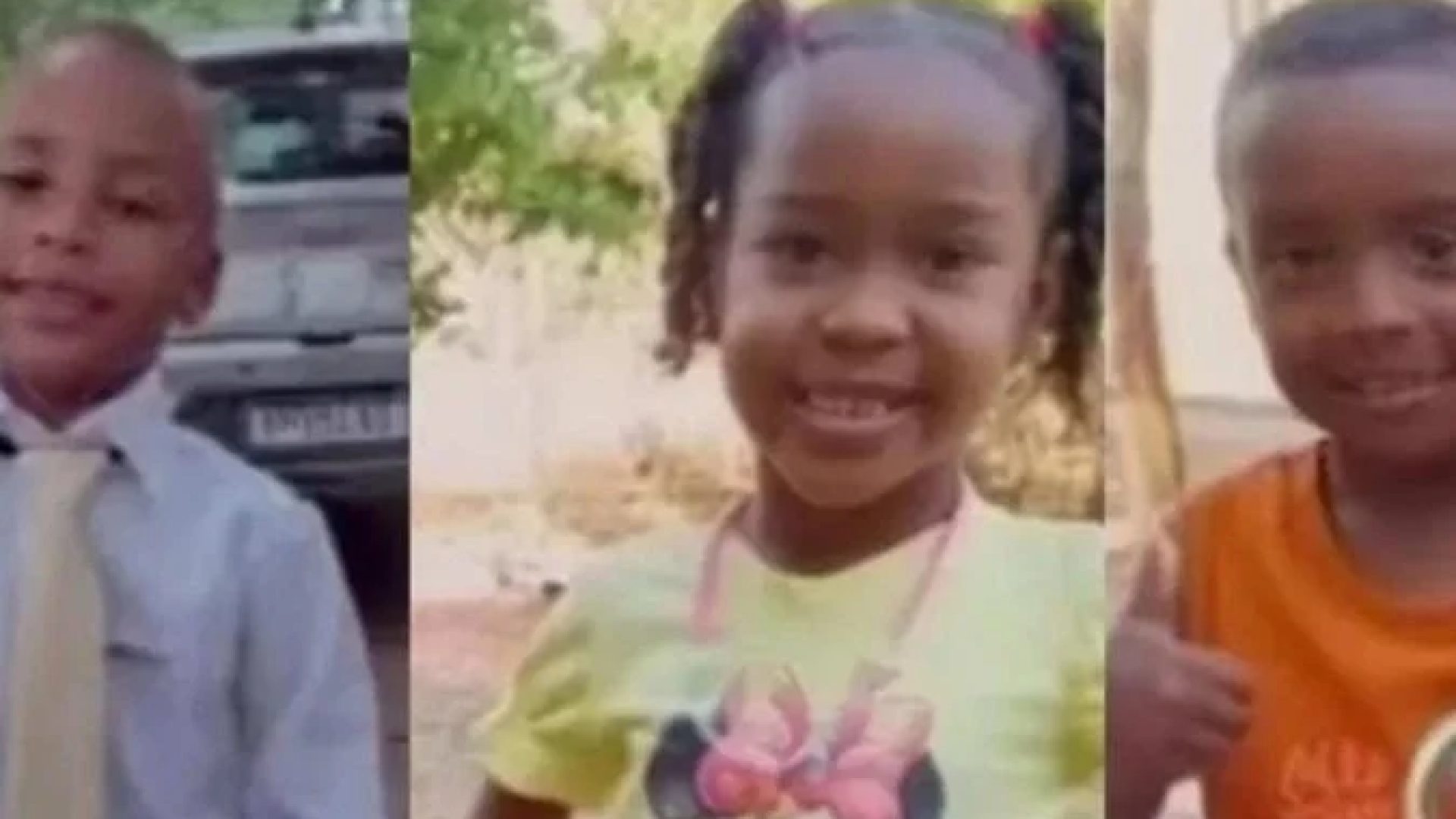 Os irmãos Ágata, de 6 anos, e Allan, 4, saíram para brincar no último domingo em uma área de mata densa, e seguem desaparecidos -  (crédito: Reprodução/Redes sociais)