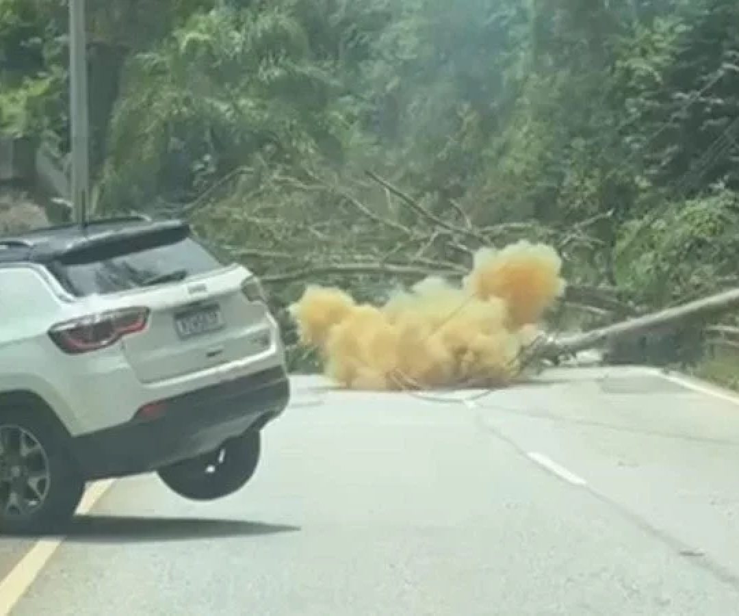 A queda ocorreu por volta das 11h15, e às 19h36 a rodovia no sentido Nova Lima ainda estava fechada.  A Cemig foi acionada -  (crédito: Reprodução)