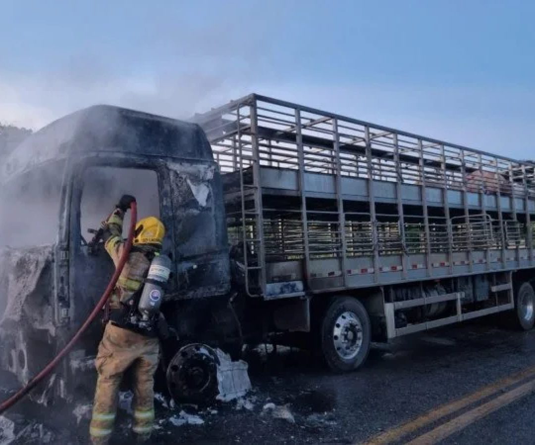 O veículo teve perda total -  (crédito: Corpo de Bombeiros Militar de Minas Gerais/Divulgação)