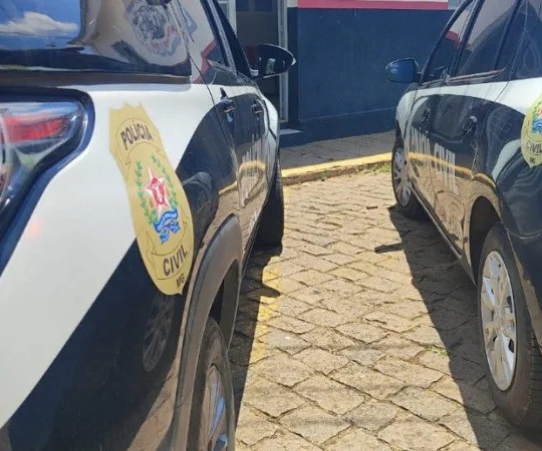Suspeito de matar e ocultar corpo da m&atilde;e &eacute; preso pela PC em Campo Belo -  (crédito: PCMG/Divulga&ccedil;&atilde;o)
