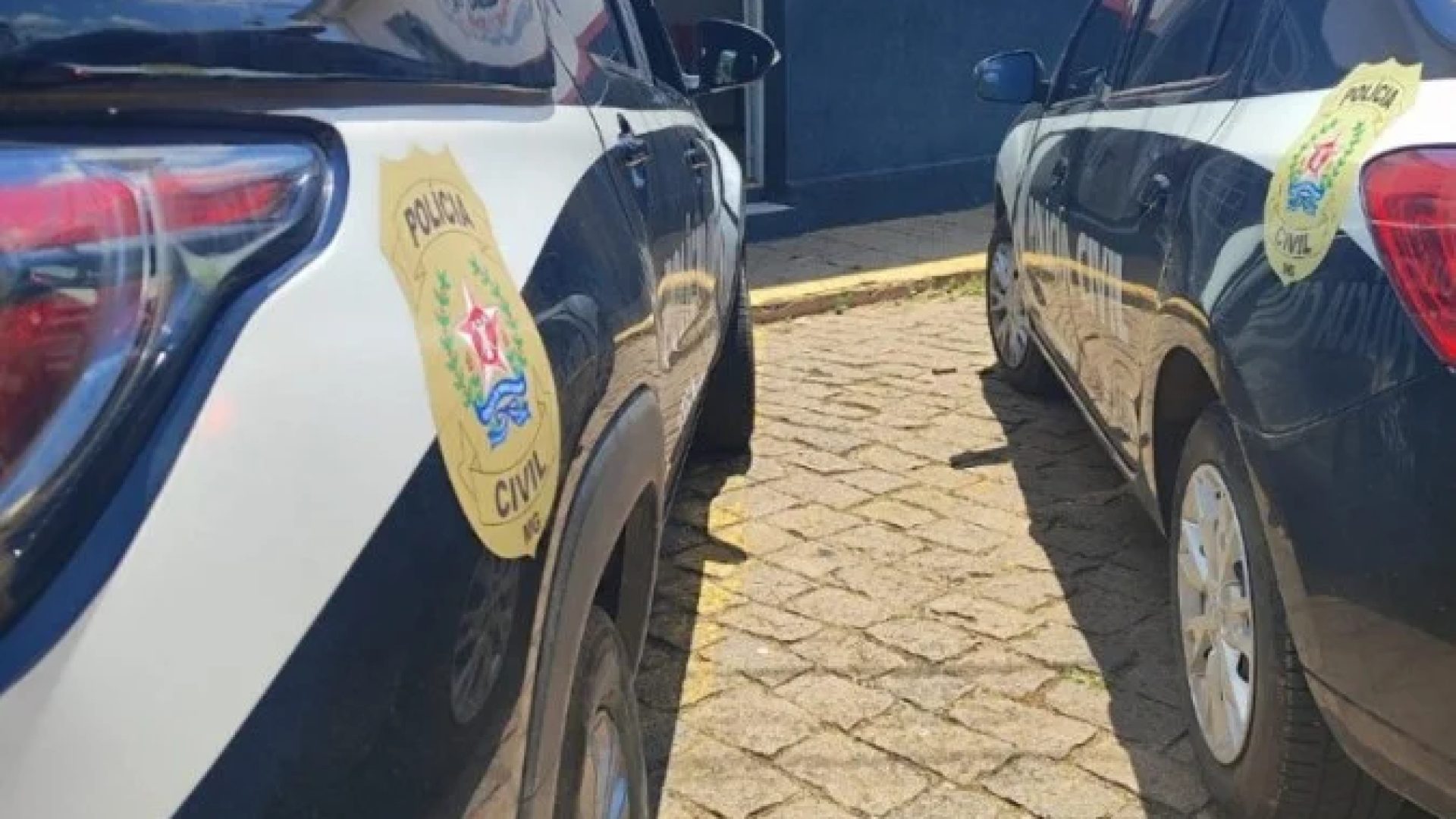 Suspeito de matar e ocultar corpo da m&atilde;e &eacute; preso pela PC em Campo Belo -  (crédito: PCMG/Divulga&ccedil;&atilde;o)
