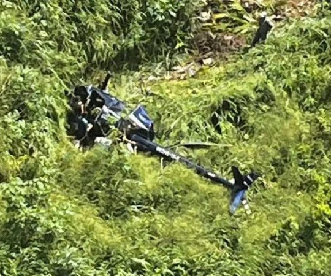 Segundo o Corpo de Bombeiros, a aeronave perdeu potência na decolagem. Havia três adultos e uma criança a bordo -  (crédito: Reprodução / Redes sociais)