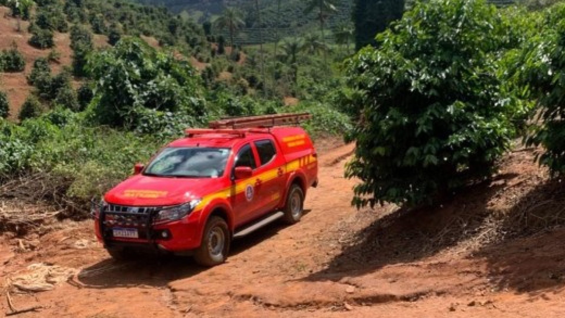 Segundo o Corpo de Bombeiros Militar de Minas Gerais (CBMMG), a idosa estava desaparecida desde sexta-feira (17/4) -  (crédito: Divulga&ccedil;&atilde;o CBMMG)