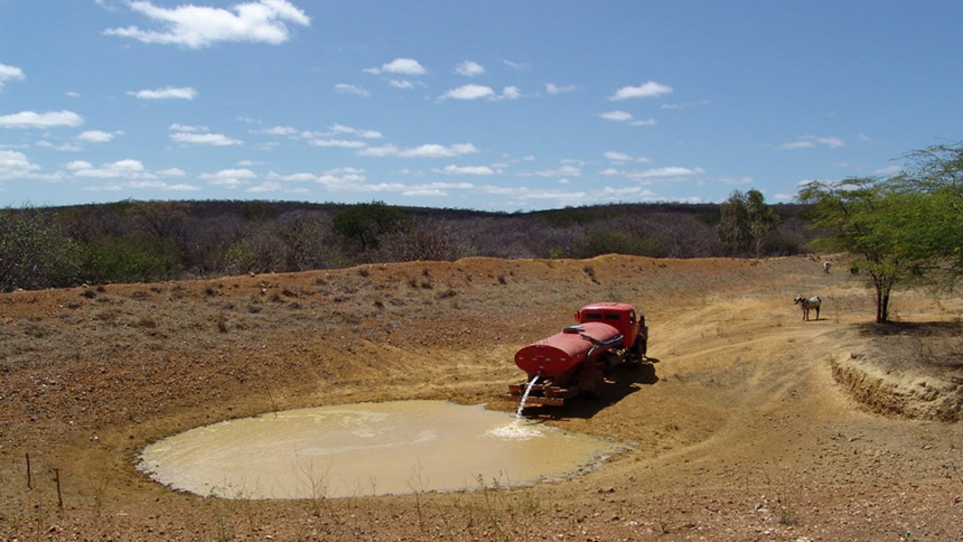 Plenário pode votar garantia de acesso a água e alimento no Semiárido — Senado Notícias