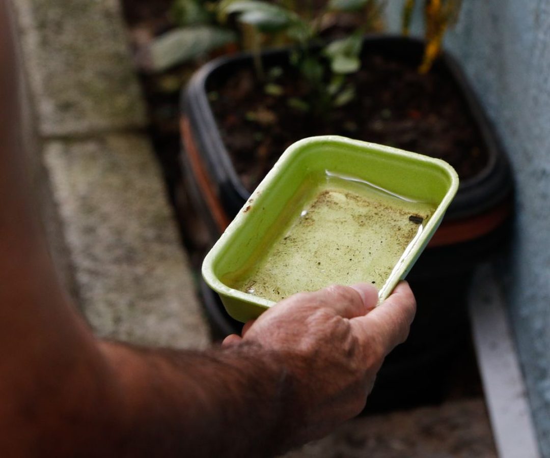 El Niño pode aumentar casos de chikungunya e dengue no Brasil