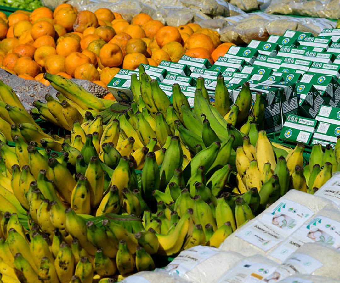 Serão destinados R$ 71,6 bilhões ao crédito rural, o Pronaf, para a safra 2023/2024. O volume é 34% superior ao anunciado na safra passada e o maior da série histórica. Ao todo, quando somadas outras ações anunciadas para a agricultura familiar, como compras públicas, assistência técnica e extensão rural, Política de Garantia de Preços Mínimos para os Produtos da Sociobiodiversidade (PGPM-Bio), Garantia-Safra e Proagro Mais, o volume investido chega a R$ 77,7 bilhões.