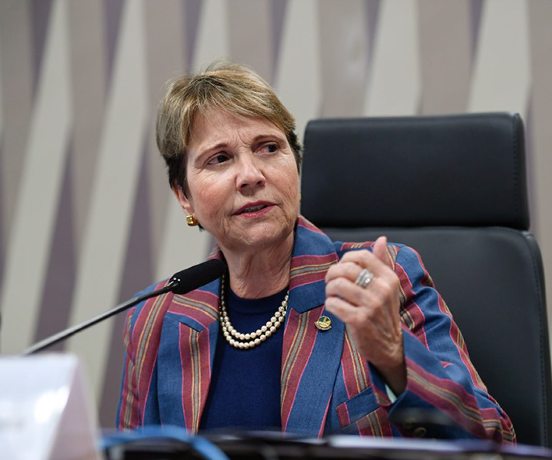 À mesa, em pronunciamento, presidente eventual da CI e requerente desta audiência, senadora Tereza Cristina (PP-MS).