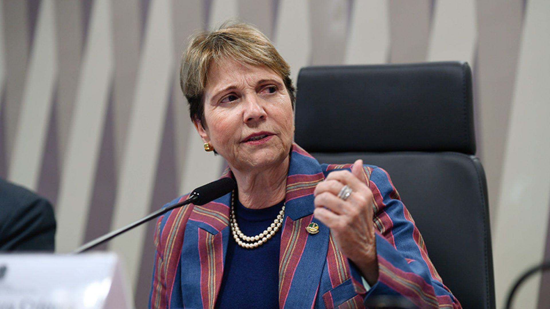 À mesa, em pronunciamento, presidente eventual da CI e requerente desta audiência, senadora Tereza Cristina (PP-MS).