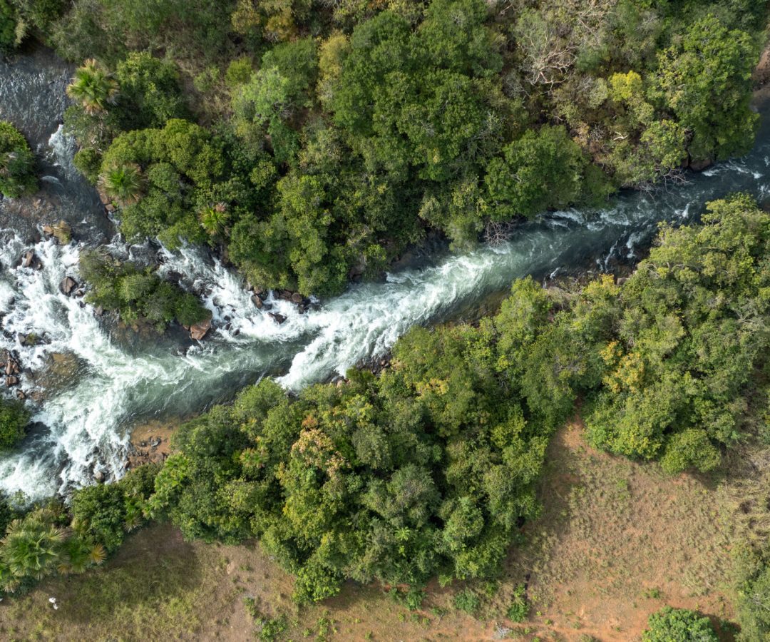 Evento no DF alerta para risco de falta de água no Cerrado