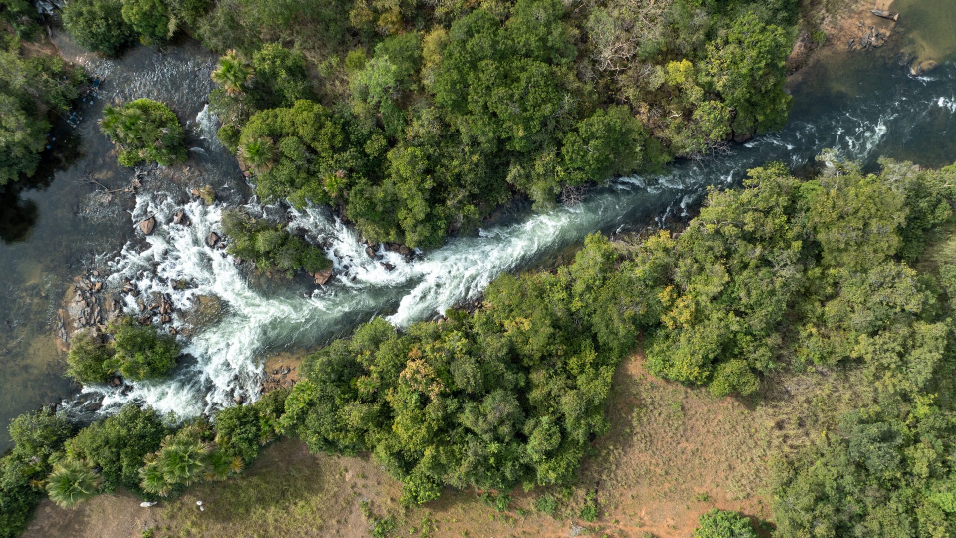 Evento no DF alerta para risco de falta de água no Cerrado