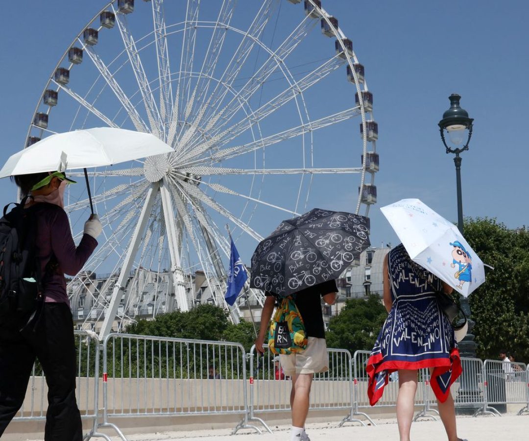 Europa: temperatura alta pode elevar transmissão do vírus Chikungunya
