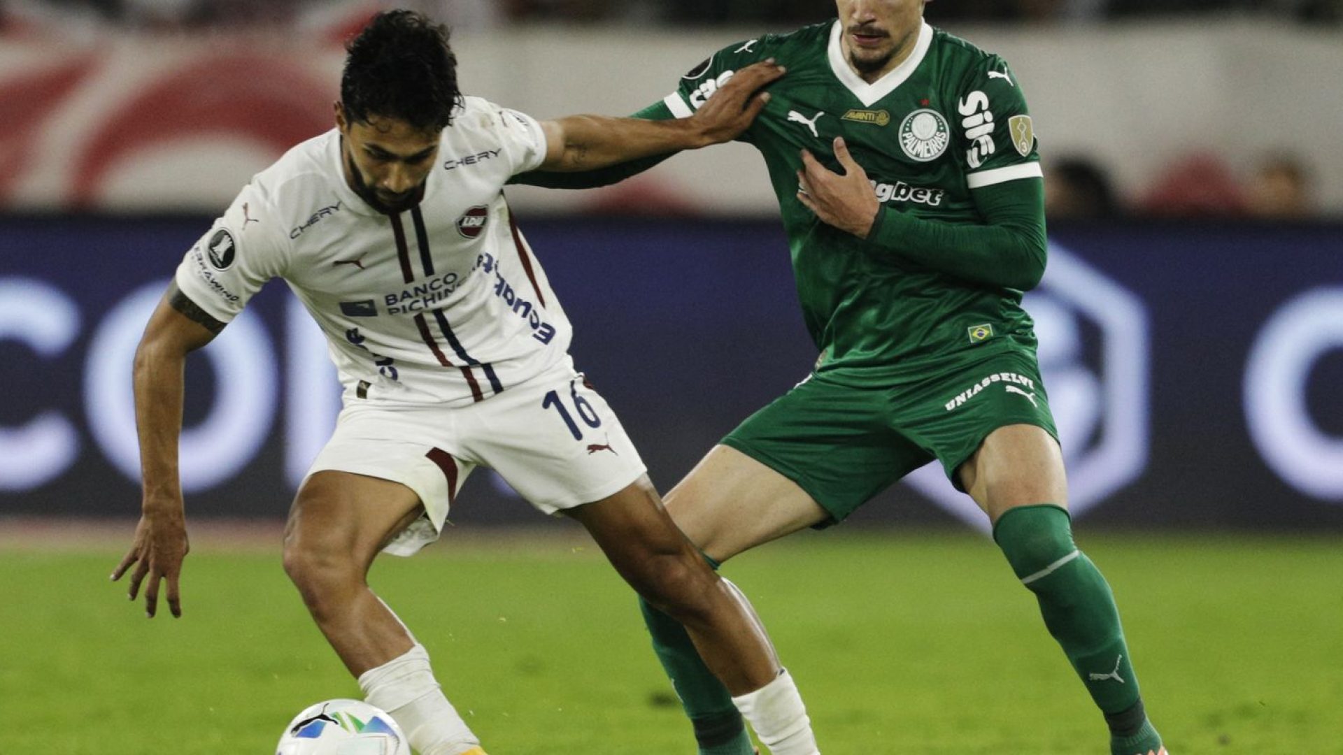 Palmeiras joga futuro na Libertadores diante da LDU
