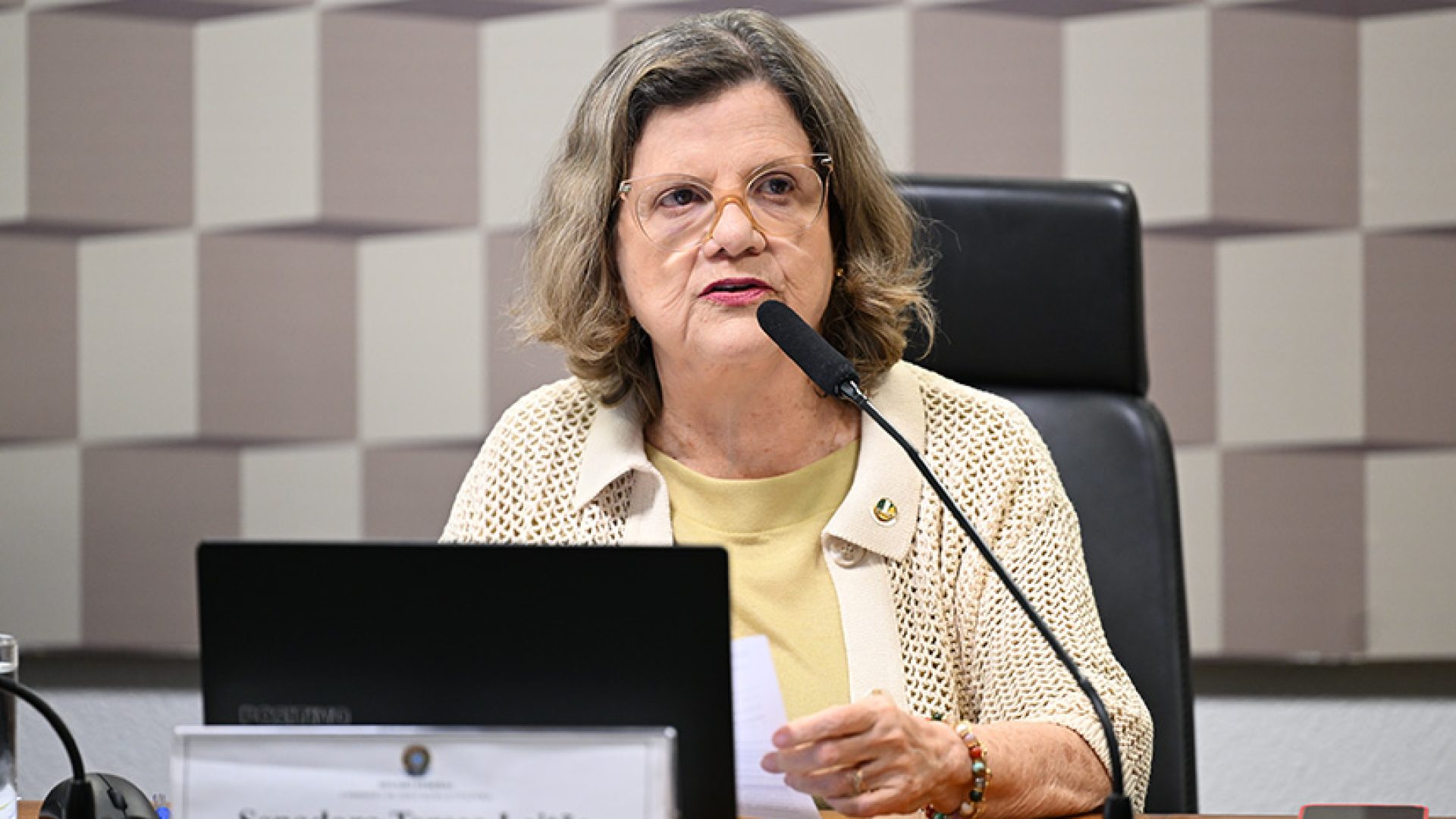 À mesa, presidente da CE, senadora Teresa Leitão (PT-PE), conduz reunião.