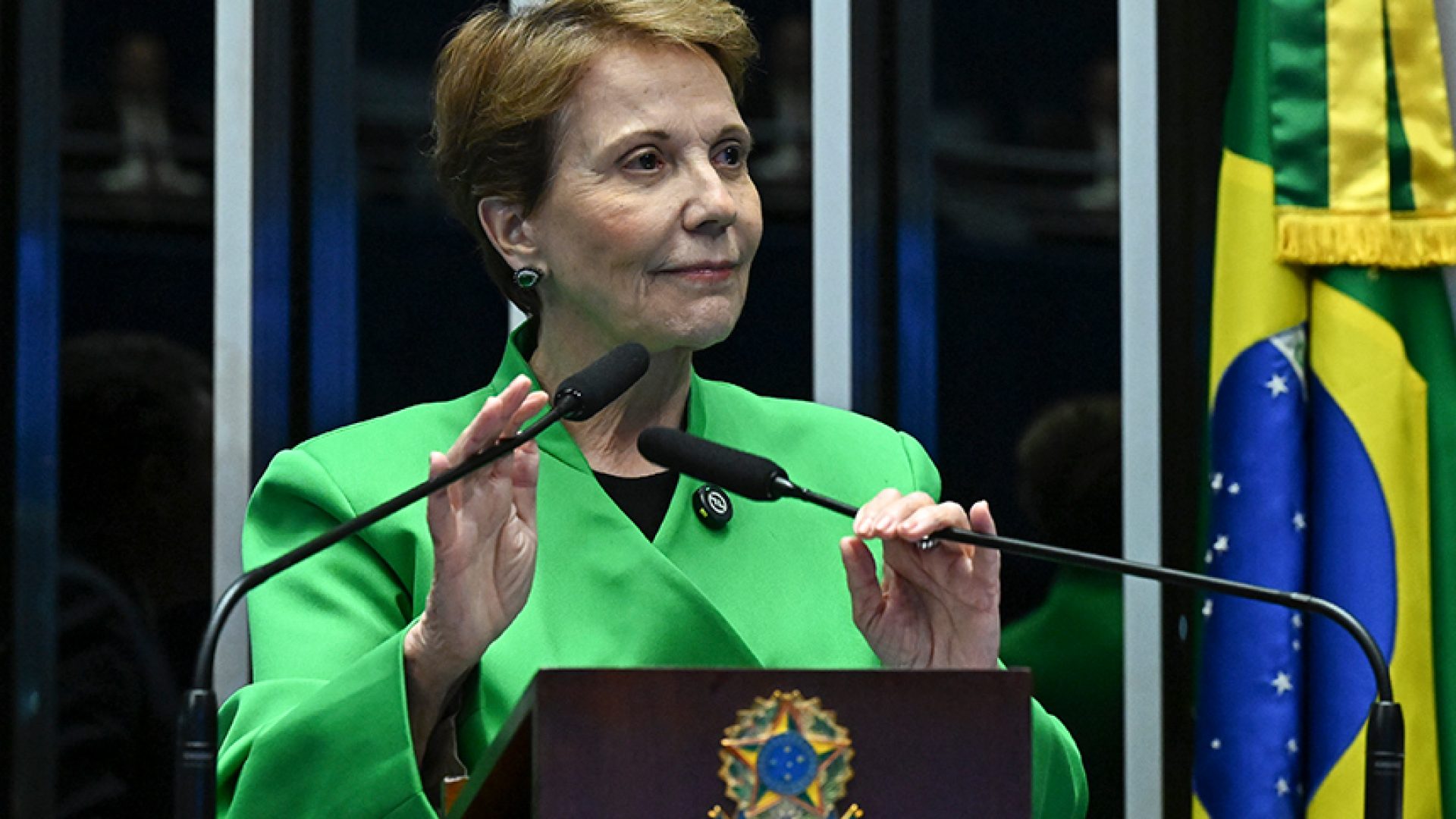 Em discurso, à tribuna, relatora do PL 4.497/2024, senadora Tereza Cristina (PP-MS).