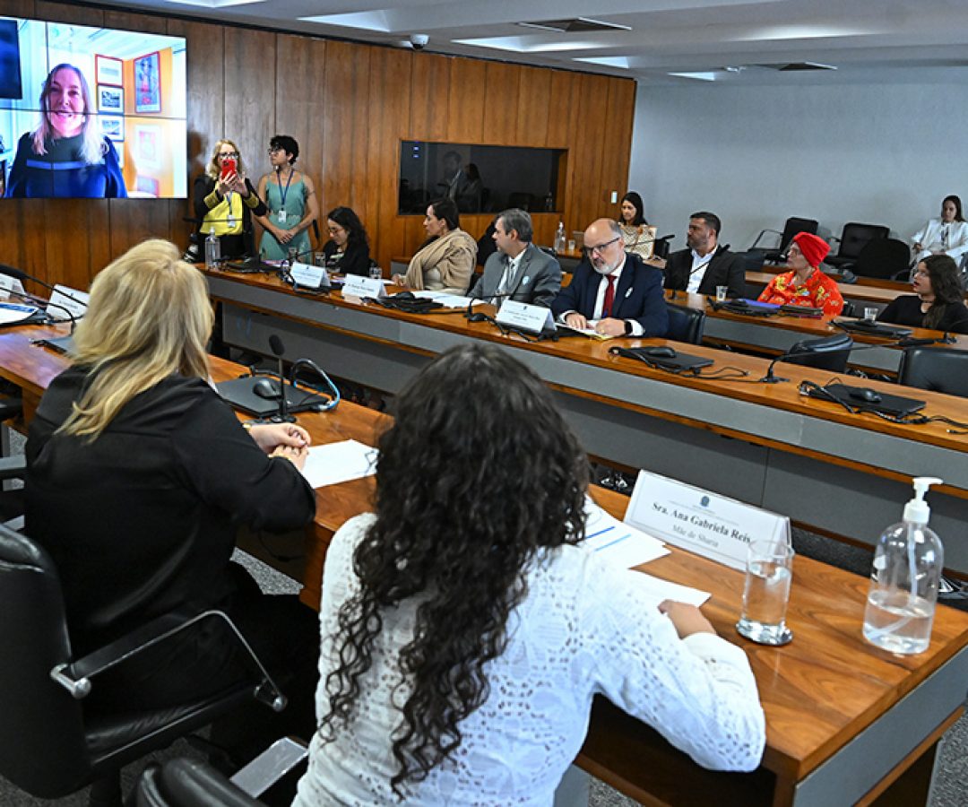 Na CRE, brasileiras relatam não ter acesso a filhos em países muçulmanos — Senado Notícias