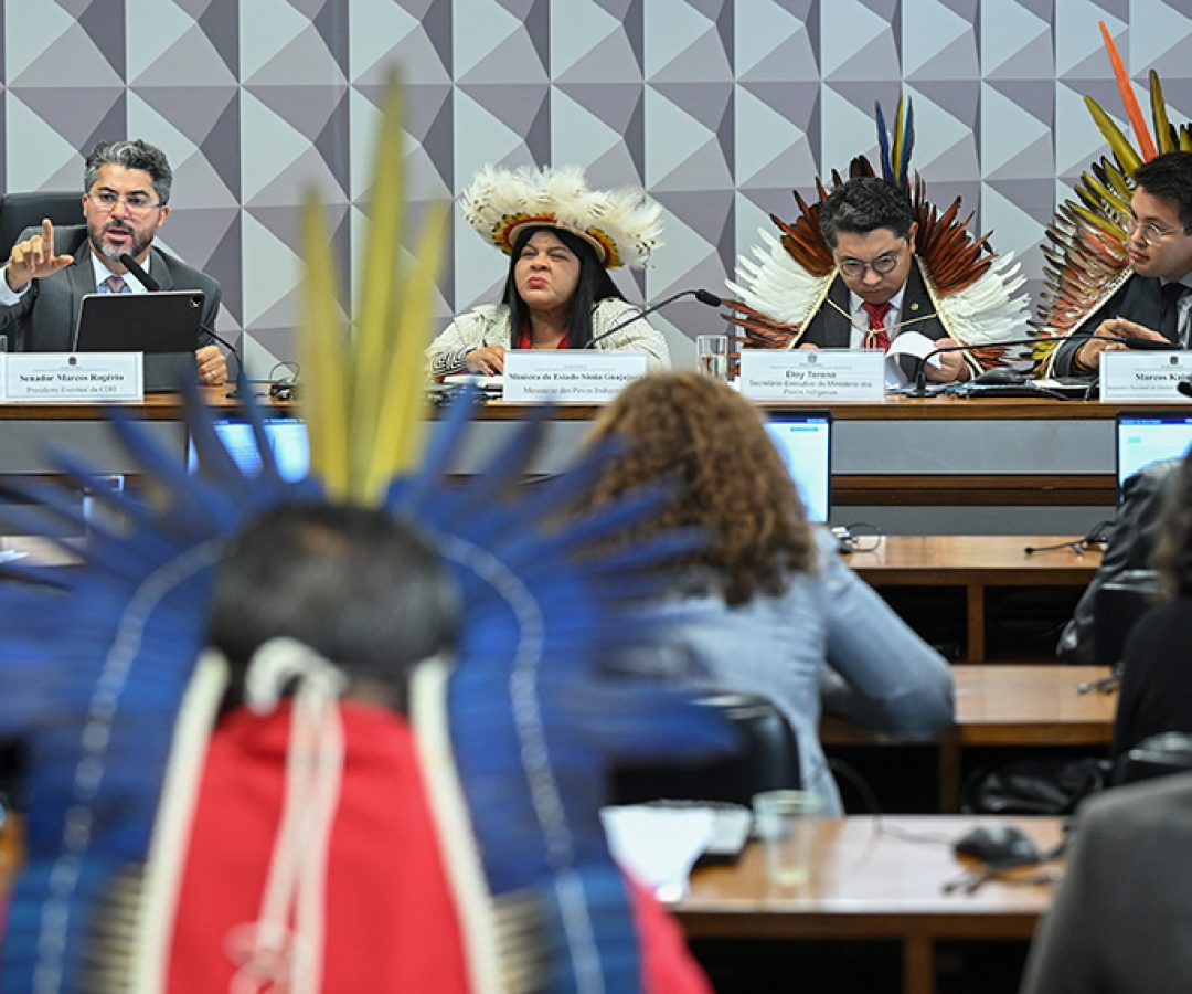 Ministra defende solução negociada para terra indígena em Rondônia — Senado Notícias