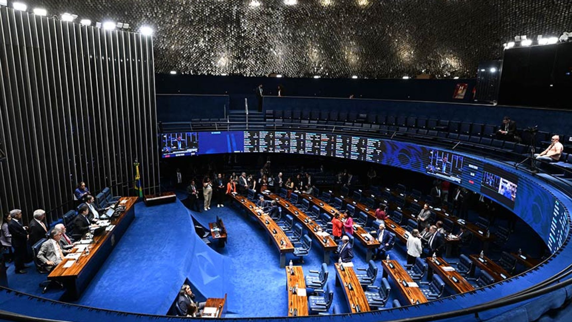 Plenário analisa nesta quarta política de proteção a animais resgatados — Senado Notícias