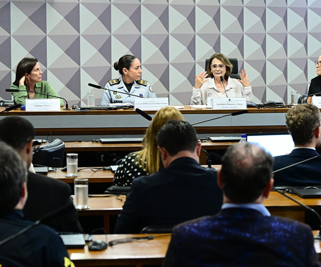 Debate alerta para riscos de violação de direitos de crianças e jovens no Carnaval — Senado Notícias