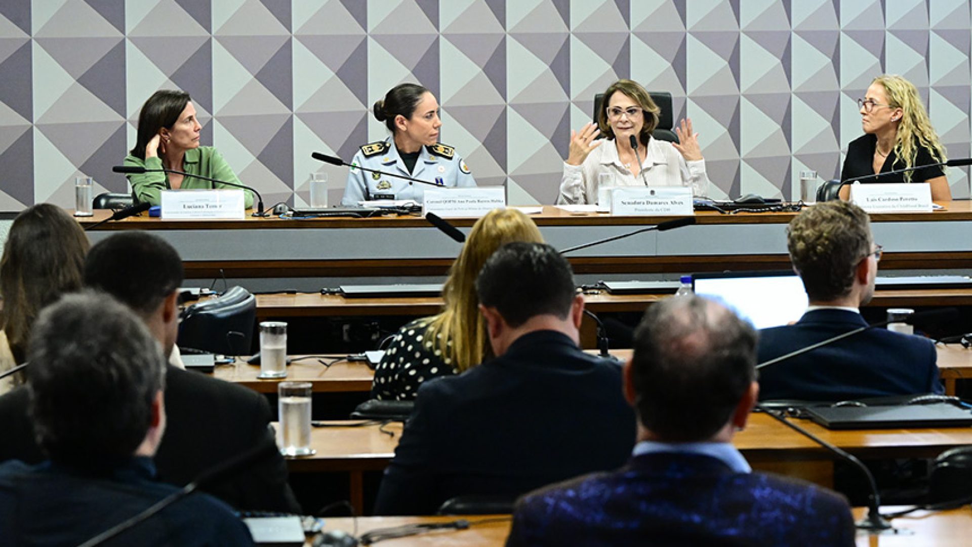 Debate alerta para riscos de violação de direitos de crianças e jovens no Carnaval — Senado Notícias