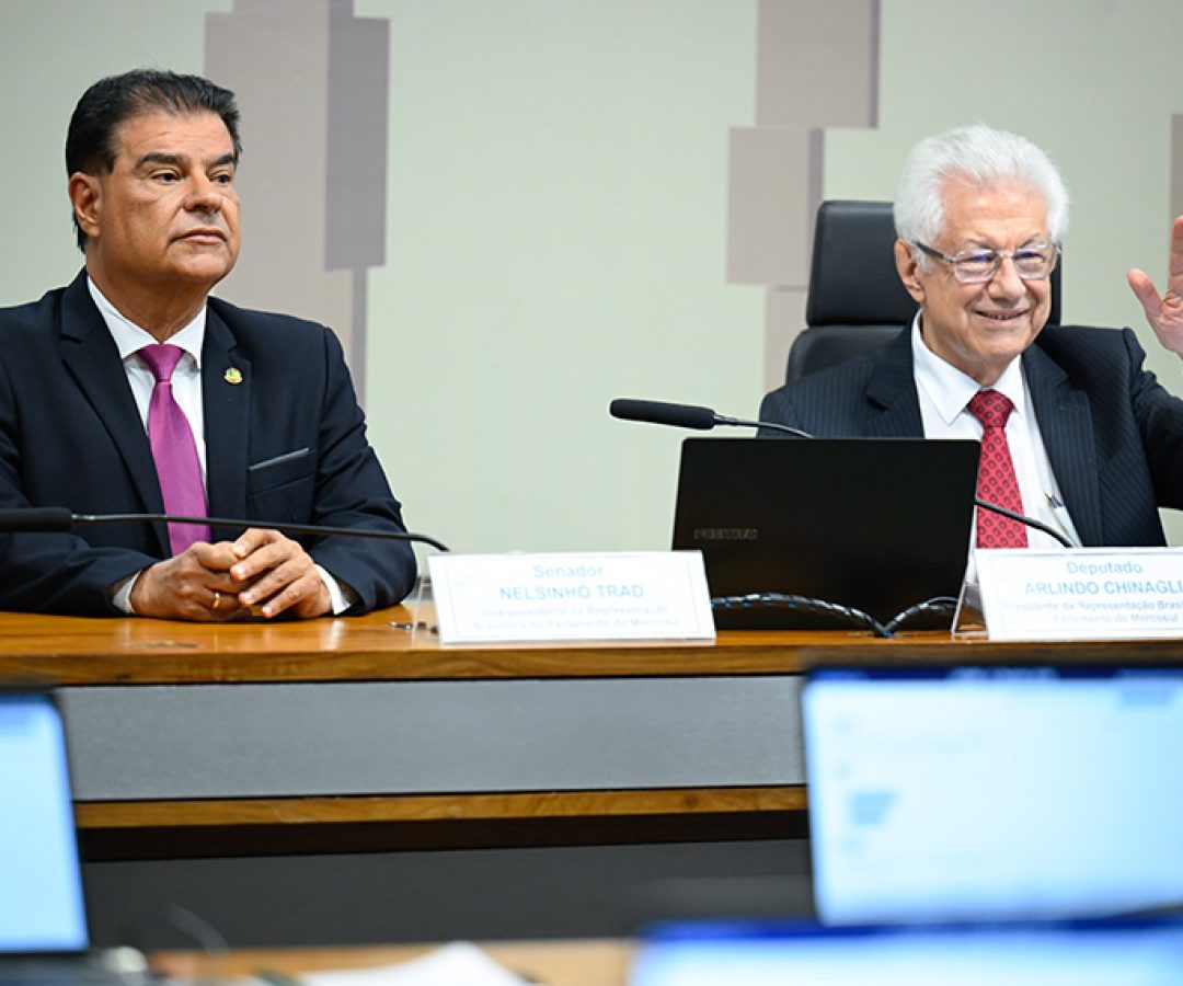Representação Brasileira no Parlasul aprova Acordo Mercosul-União Europeia — Senado Notícias