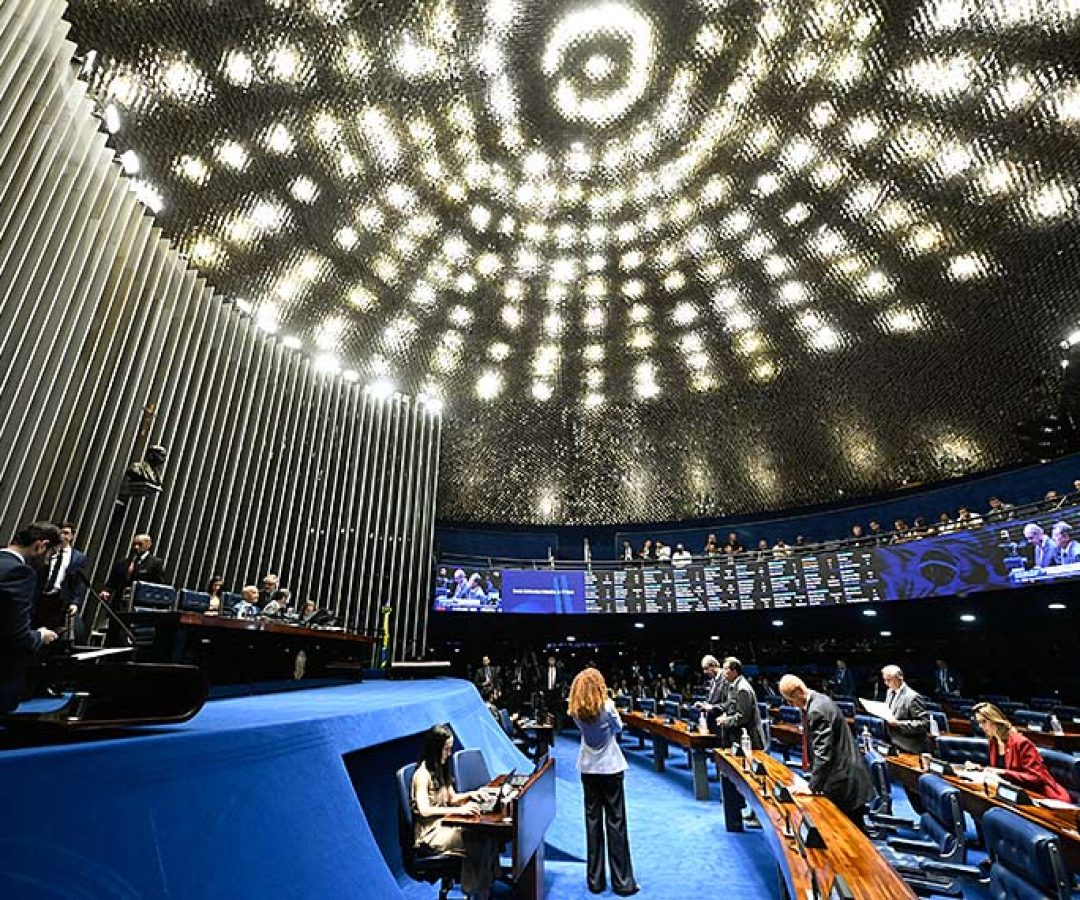 Senado aprova guarda compartilhada de animais de estimação — Senado Notícias