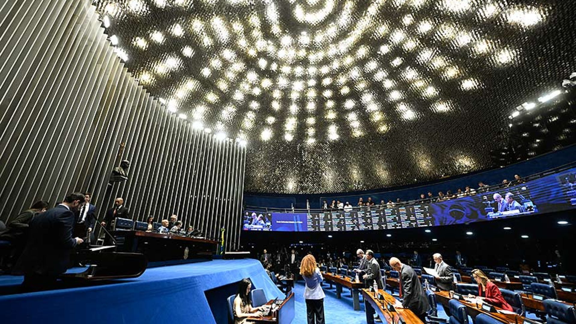Senado aprova guarda compartilhada de animais de estimação — Senado Notícias