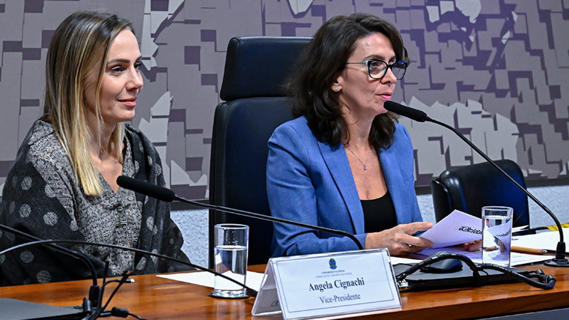 Conselho de Comunicação Social lamenta agressões sofridas por jornalistas — Senado Notícias