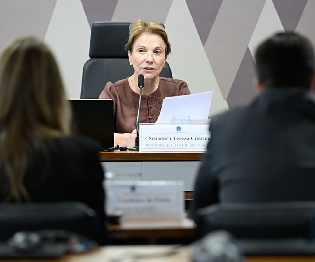 Debatedores afirmam que novo Código Civil pode incentivar invasão de imóveis — Senado Notícias