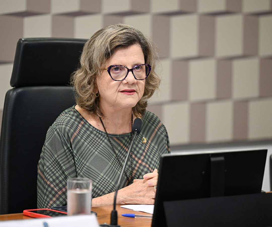 À mesa, presidente da CE, senadora Teresa Leitão (PT-PE), conduz audiência.