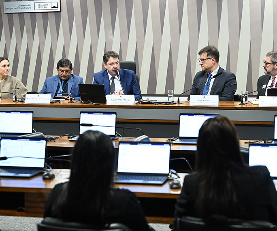 Debatedores pedem controle estatal menor em política de minerais críticos — Senado Notícias