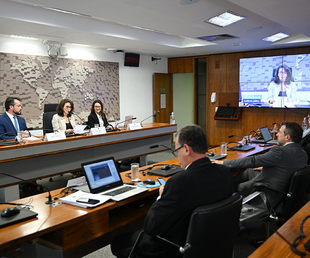 Debate sugere reforço de critérios contra desinformação nas eleições — Senado Notícias