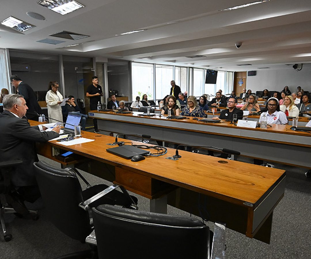 Em audiência, feirantes do DF relatam medo de perder locais de trabalho — Senado Notícias
