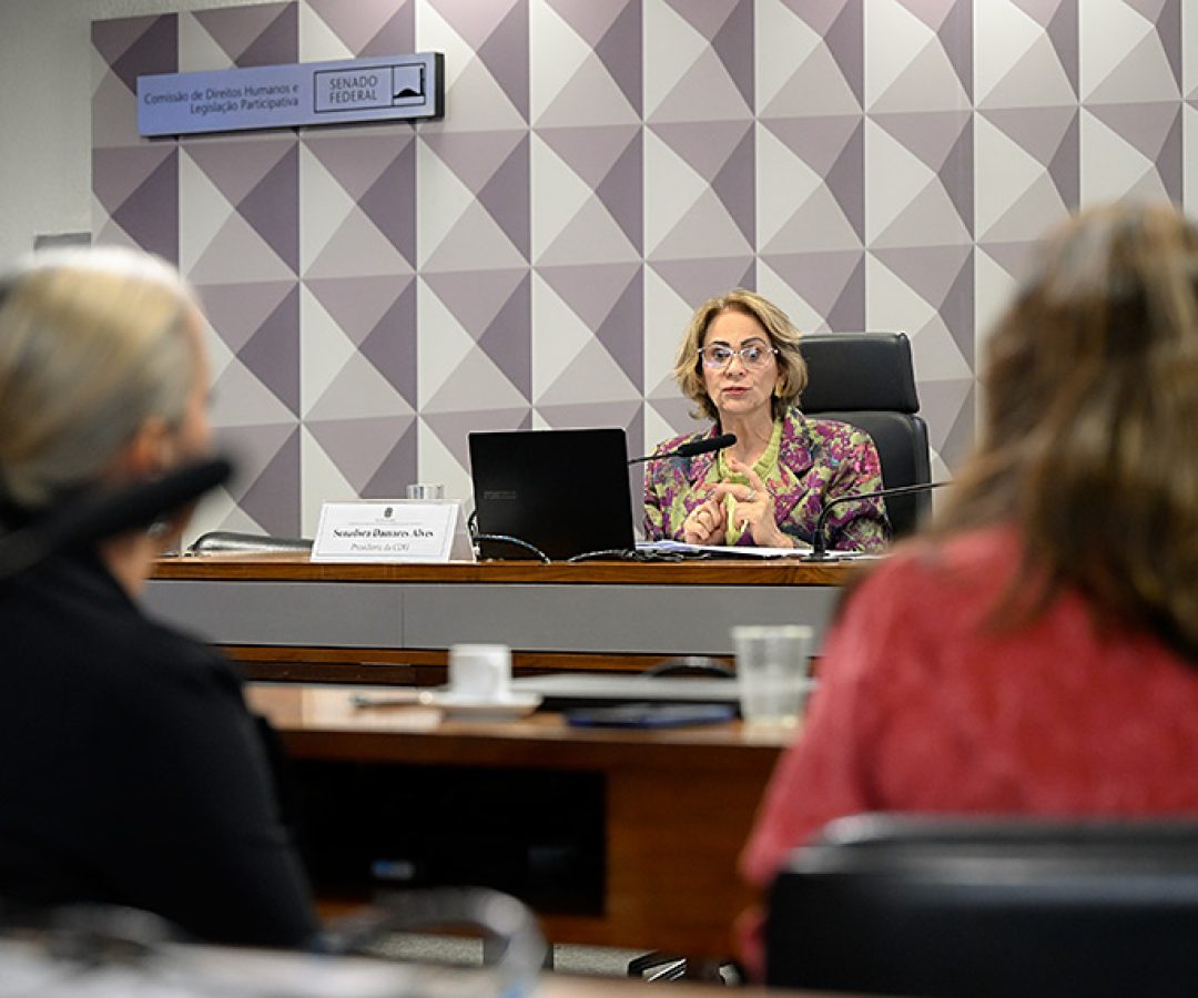 À mesa, presidente da CDH, senadora Damares Alves (Republicanos-DF), conduz audiência.
