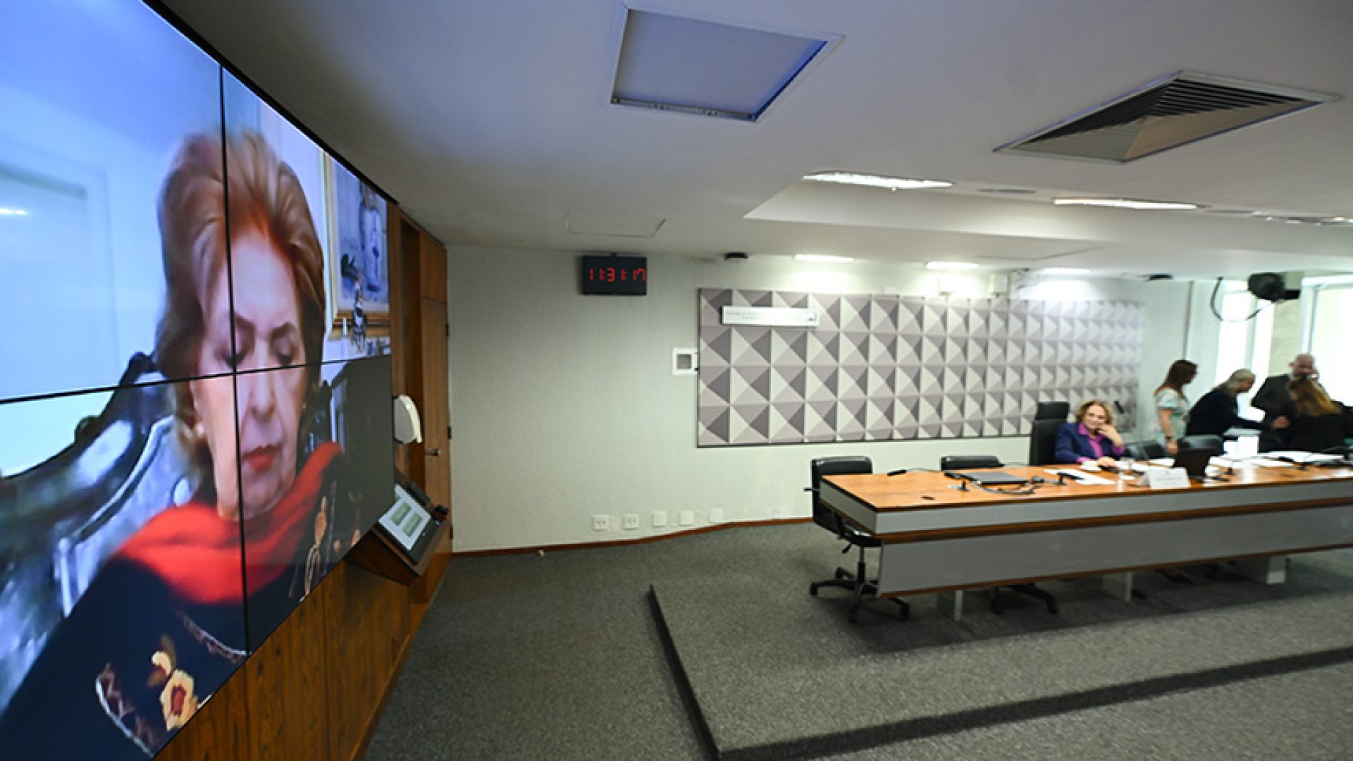 Em pronunciamento via videoconferência, senadora Ivete da Silveira (MDB-SC).