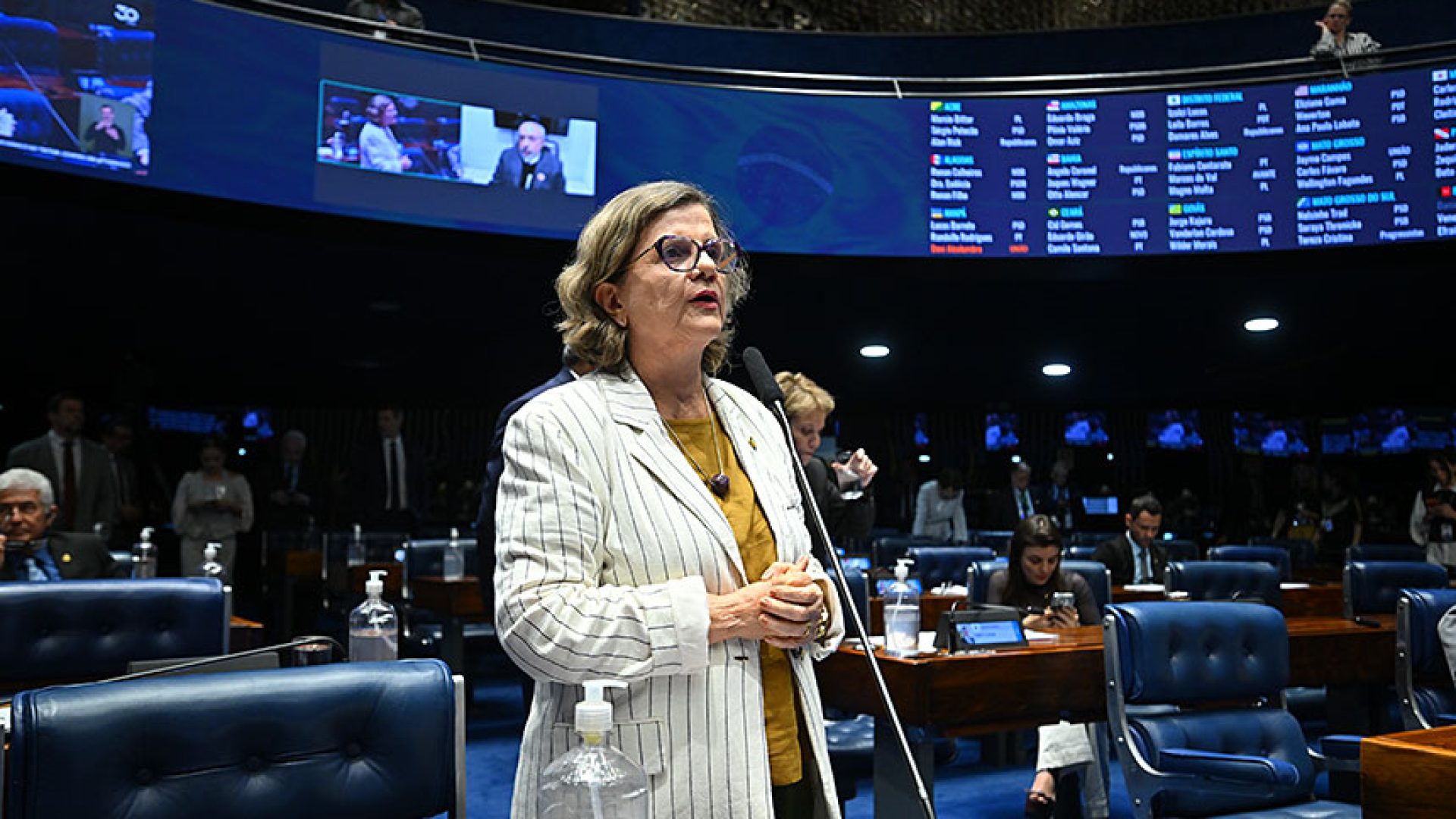 Em pronunciamento, à bancada, líder do governo no Senado Federal, senadora Teresa Leitão (PT-PE).