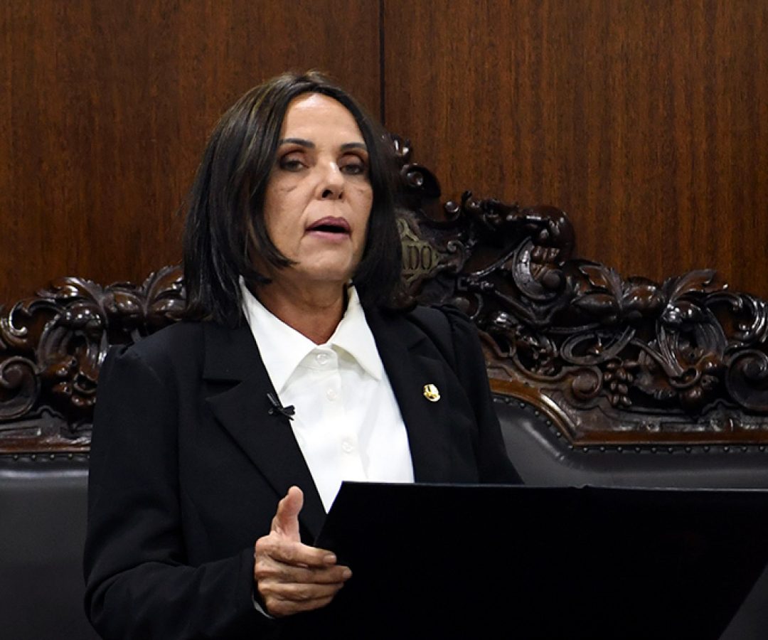 Em pronunciamento, senadora Lourdinha Pereira (PSB-MA).