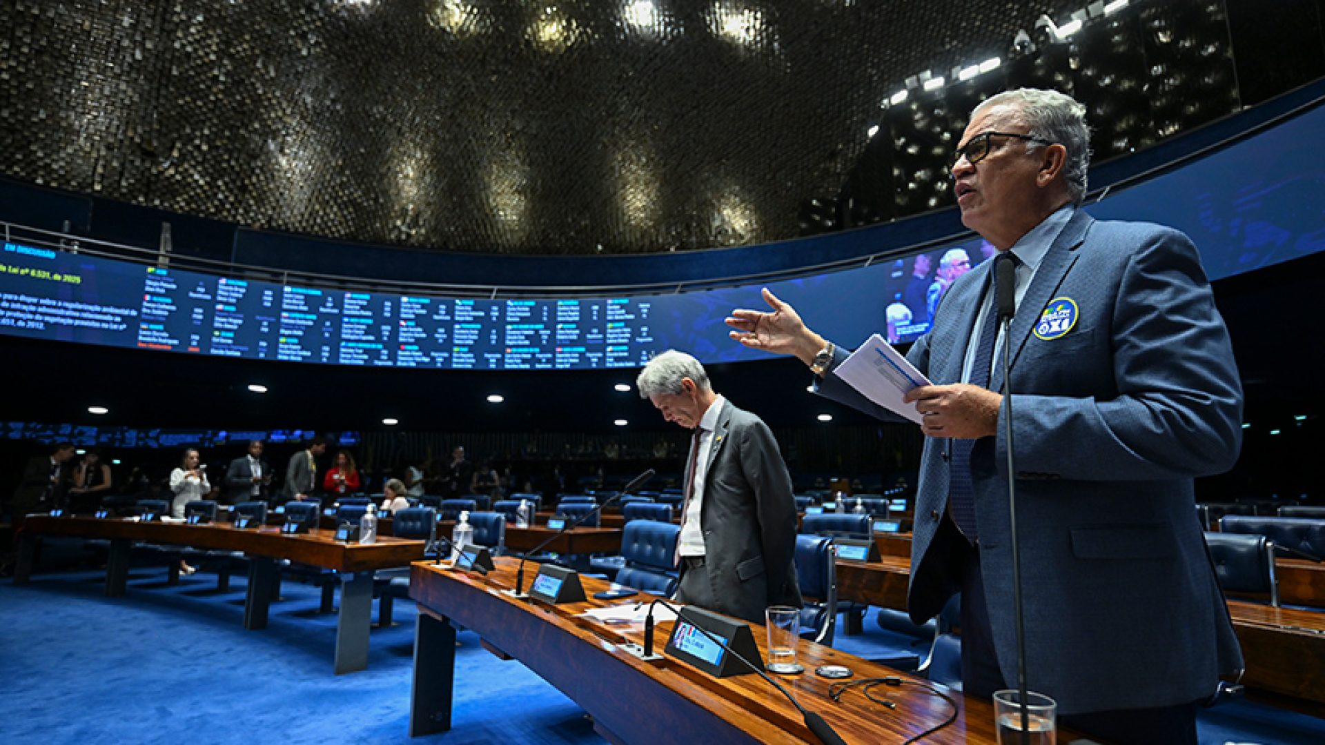 Vai à Câmara projeto que facilita desembargo de área com infração ambiental — Senado Notícias