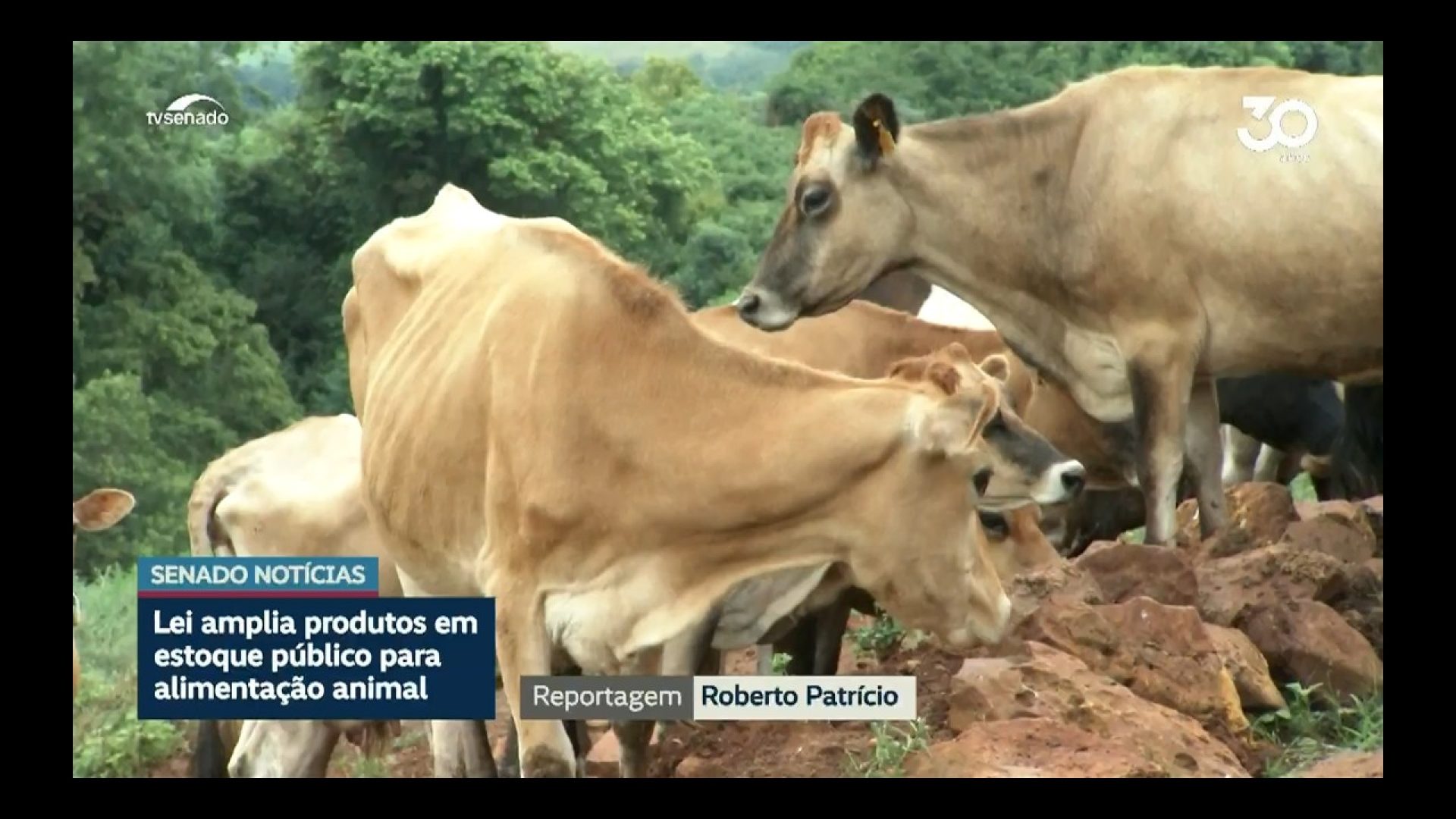 Sancionada lei que amplia estoques públicos de ração para animais — Senado Notícias