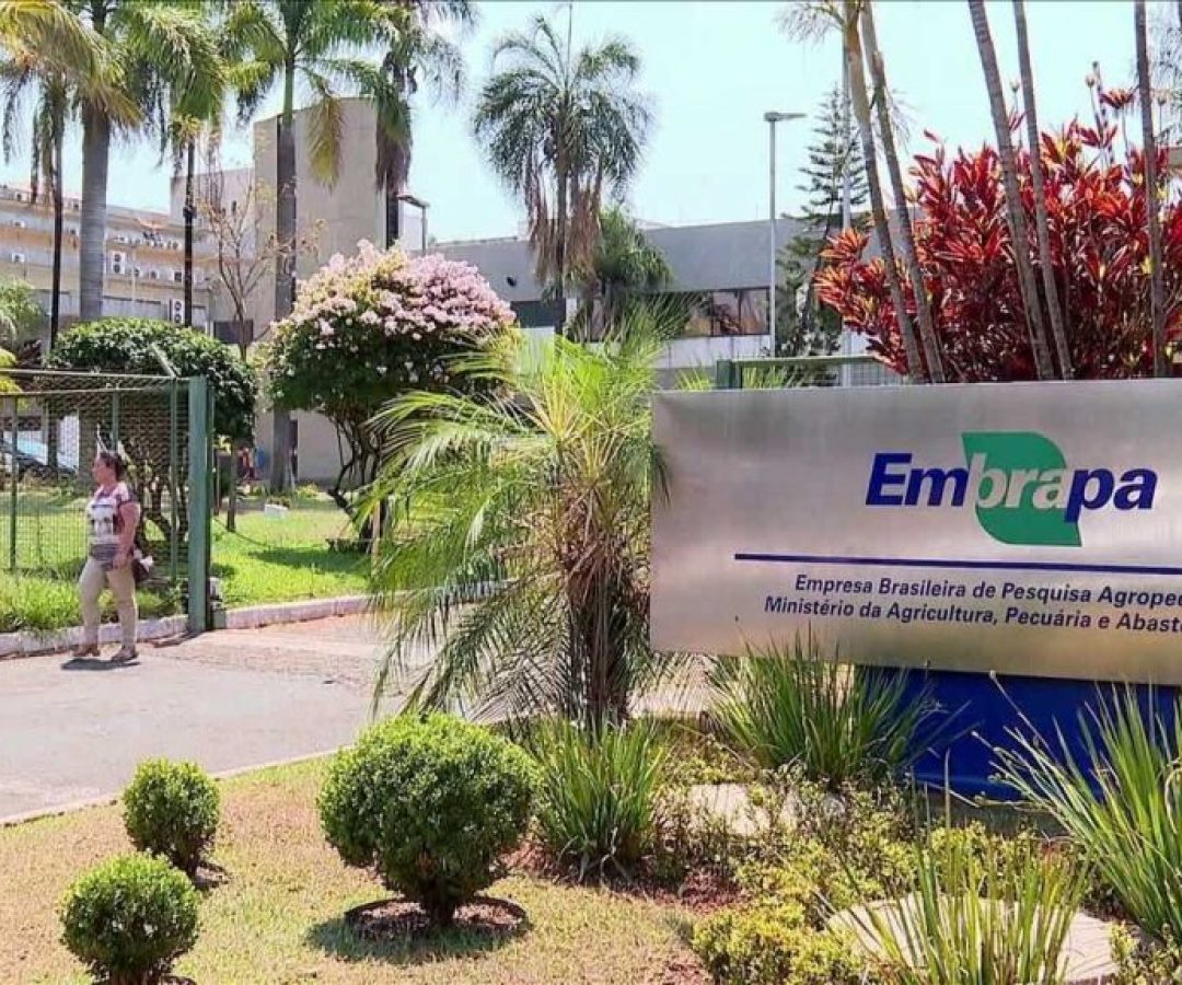 Ex-estagiário esfaqueia homem dentro da Embrapa e é preso no DF