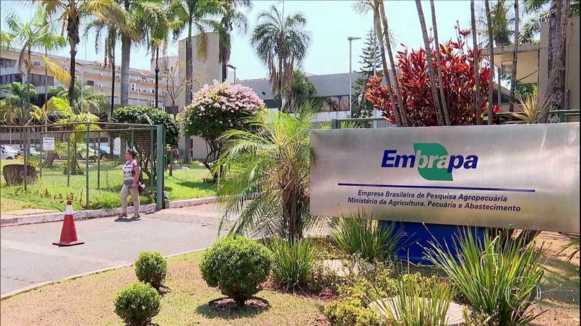 Ex-estagiário esfaqueia homem dentro da Embrapa e é preso no DF