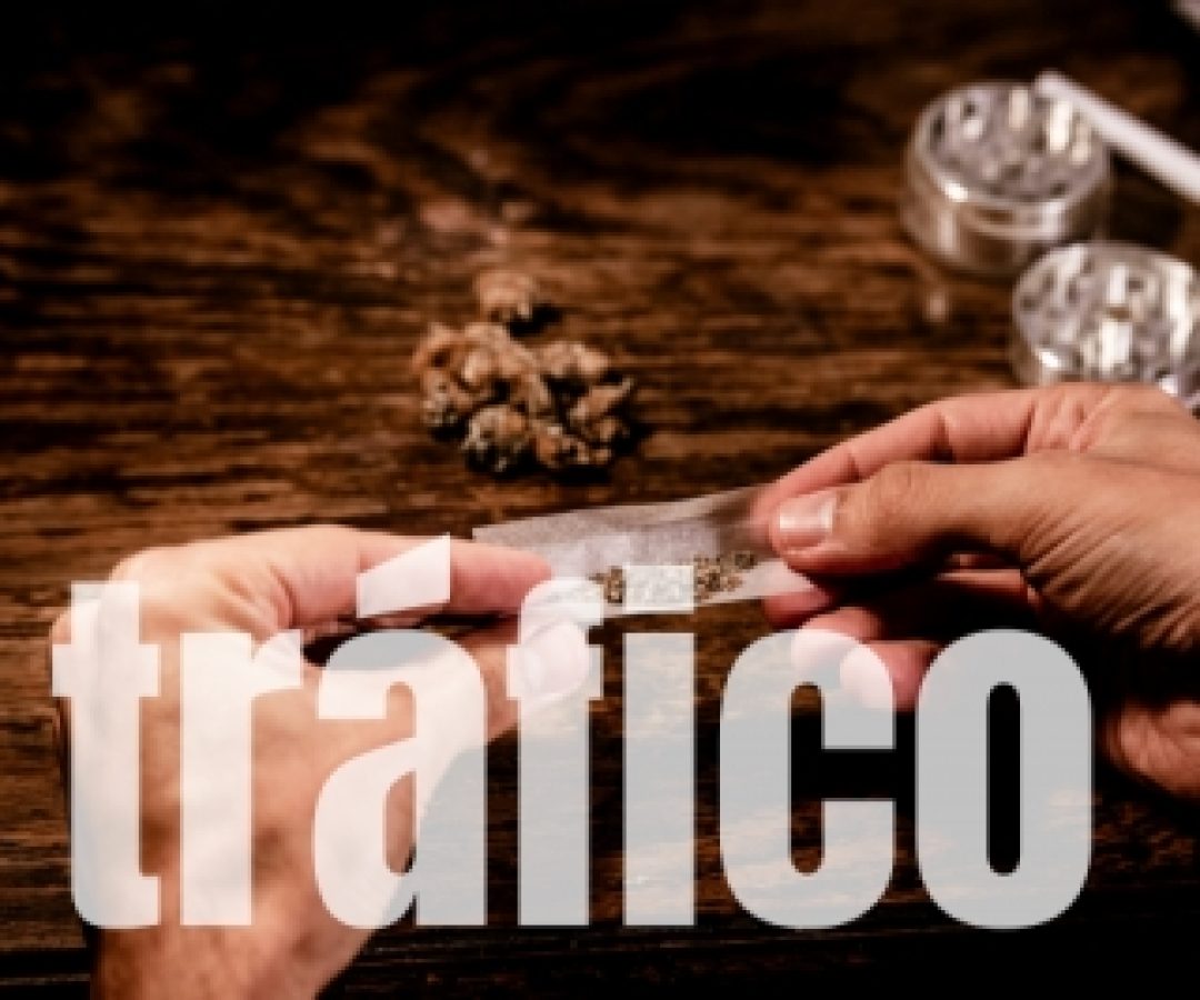 PCDF Intensifica Ações de Repressão ao Tráfico de Drogas