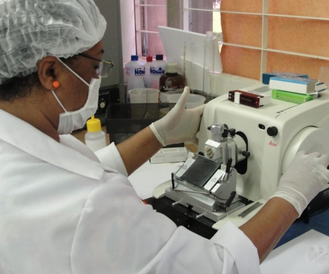 FAPDF lança edital com R$ 4 milhões para bolsas de pós-graduação no DF